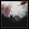 Javi Lobe - The Memory Remains - Single